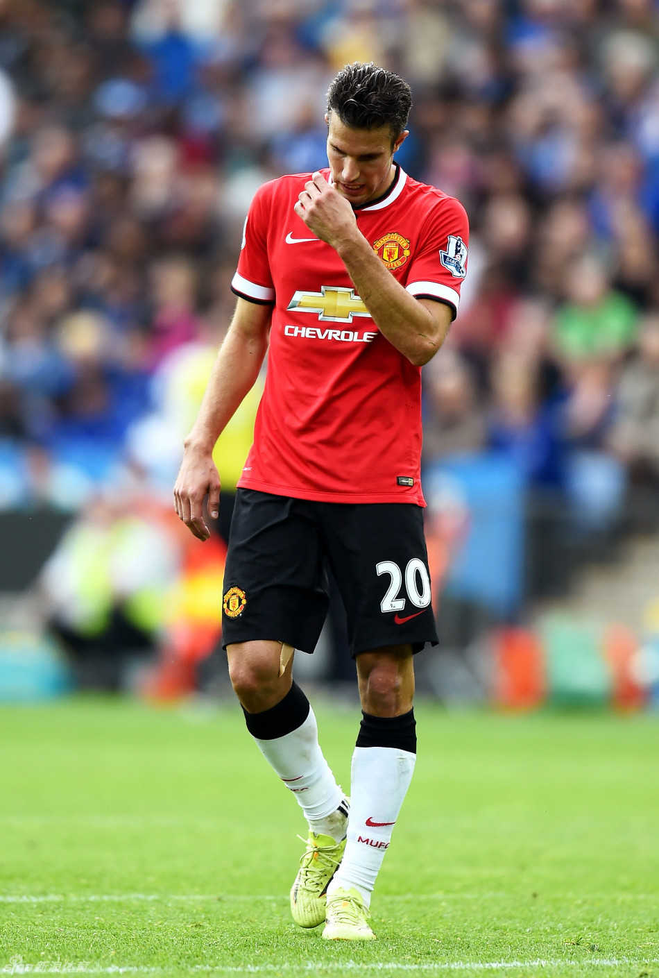 小阵容拉开 小阵容拉开